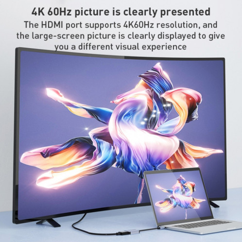 BYL-2006A Câble convertisseur USB-C/Type-C vers HDTV 4K (Argent) SH517S141-08