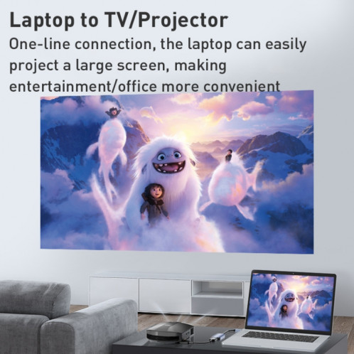 BYL-2006A Câble convertisseur USB-C/Type-C vers HDTV 4K (Argent) SH517S141-08