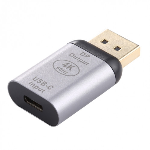 Adaptateur en alliage d'aluminium Type-C / USB-C Femelle vers Big DP Mâle (Argent) SH944S627-05