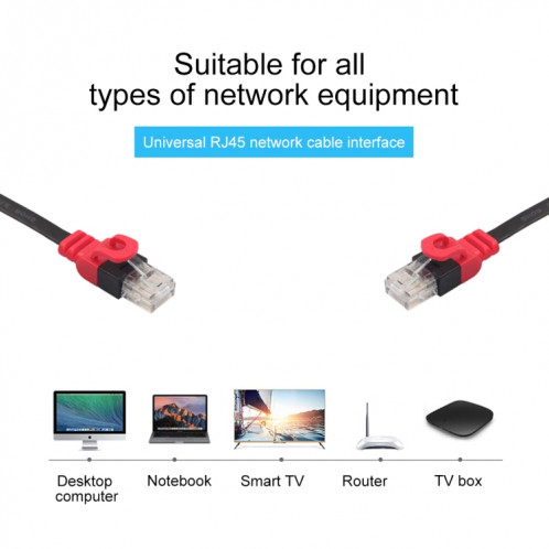 REXLIS CAT6-3 CAT6 Câble LAN réseau Gigabit RJ45 non blindé Ethernet plat, longueur: 10 m SR51481658-08