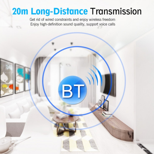 LY039 USB MINI ARC Bluetooth 5.0 Adaptateur SH5546800-07