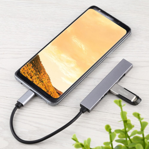 T-818 Adaptateur HUB 4 x USB 3.0 vers USB-C / Type-C (gris argenté) SH52SH607-07