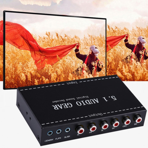 NK-A6L 5.1 audio décodeur de son numérique SH66211593-08