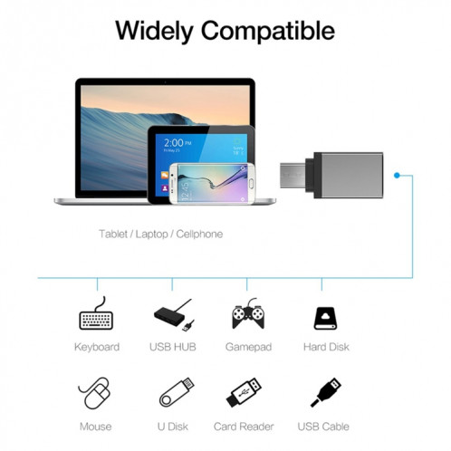 Alliage d'aluminium USB-C / Type-C 3.1 mâle vers USB 3.0 femelle adaptateur de données / chargeur, Adaptateur de données/chargeur USB-C / Type-C 3.1 mâle vers USB 3.0 femelle en alliage d'aluminium (gris) SH660H1560-07