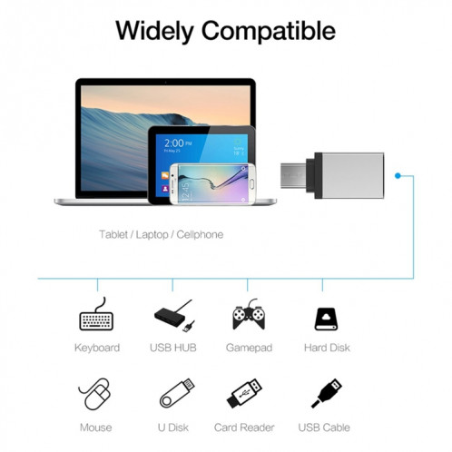 Alliage d'aluminium USB-C / Type-C 3.1 mâle vers USB 3.0 femelle adaptateur de données / chargeur, Adaptateur de données/chargeur USB-C / Type-C 3.1 mâle vers USB 3.0 femelle en alliage d'aluminium (argent) SH660S457-07