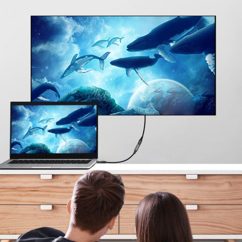 Câble adaptateur femelle USB-C / type C / C / C / C / C / C / C / C / Cable Longueur: 50cm SH6791415-07