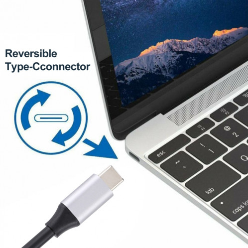 Câble adaptateur 4K 60Hz Type-C / USB-C Mâle vers DP Mâle, Longueur: 1,8 m SH6828682-06