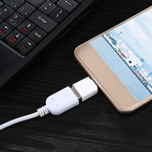 Adaptateur Micro USB vers USB OTG SH6893232-07