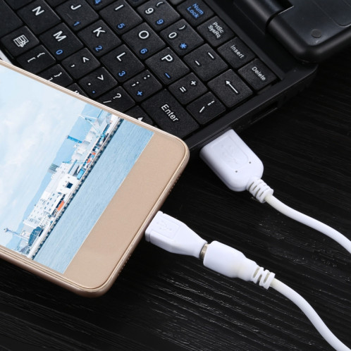 Câble de données multifonction 5 en 1 avec 4 adaptateurs, convient pour Mico USB / HDMI / Nokia 2.0 / iPhone 4 SH6896551-06
