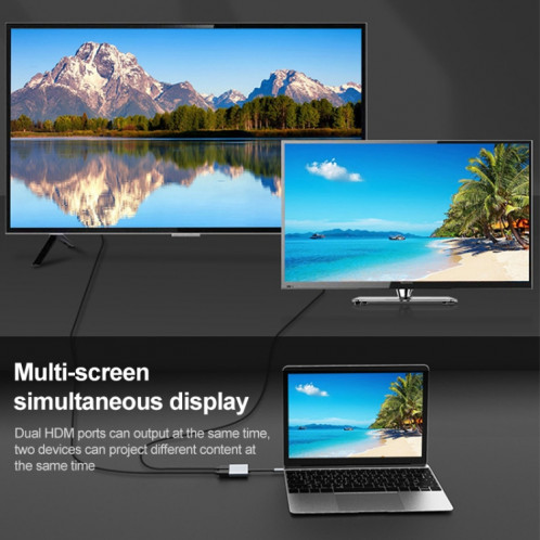 2 en 1 USB-C / TYPE-C à 2 x Adaptateur de moyeu HDTV ports HDTV SH69151749-07