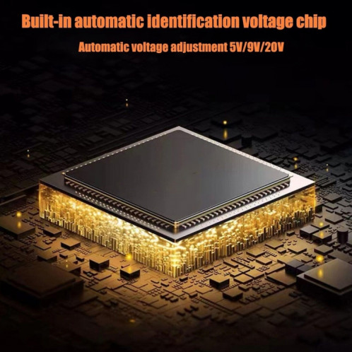 100W Big Square Femelle vers USB-C / Type-C Connecteur Adaptateur pour Ordinateur Portable SH71621060-05