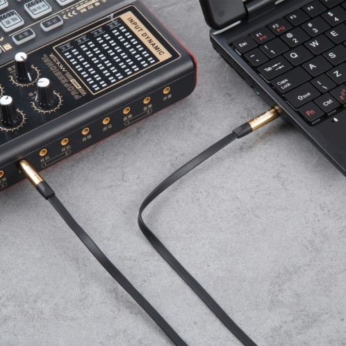 Quilcell Câble d'extension audio 3,5 mm mâle vers 3,5 mm mâle, longueur : 1 m SH82771060-06