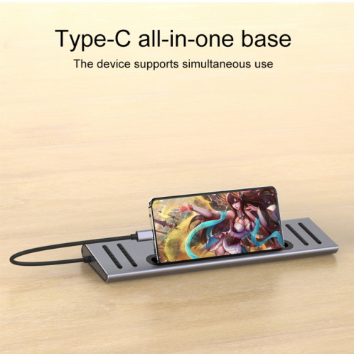 9199 12 en 1 USB-C / Type-C vers USB-C / Type-C + Emplacement pour carte TF / SD + RJ45 + Audio 3,5 mm + Chargement PD USB-C / Type-C + 2 ports HDMI + 4 ports USB 3.0 Multifonctionnel Station d'accueil pour convertisseur SH84551037-08