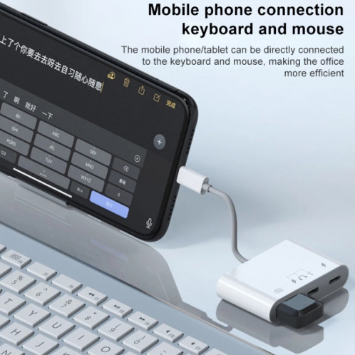 S-221 3 in 1 8 Pin Male to 8 Pin Power + USB-C / Type-C + USB Camera Female Adapter SH8534873-07