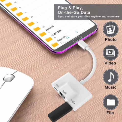 3 en 1 USB-C / TYPE-C Homme à USB + 100M RJ45 Ethernet + Power Adaptateur femelle SH85391021-07