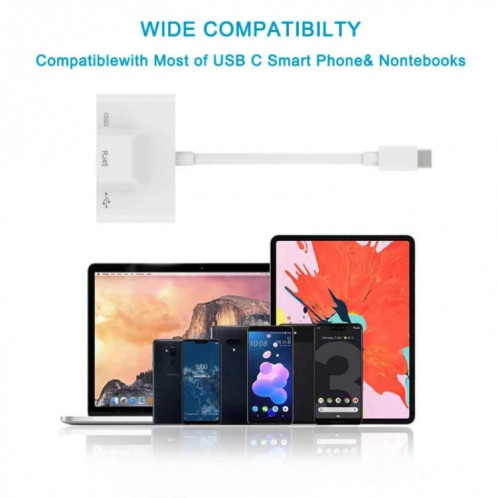 3 en 1 USB-C / TYPE-C Homme à USB + 100M RJ45 Ethernet + Power Adaptateur femelle SH85391021-07
