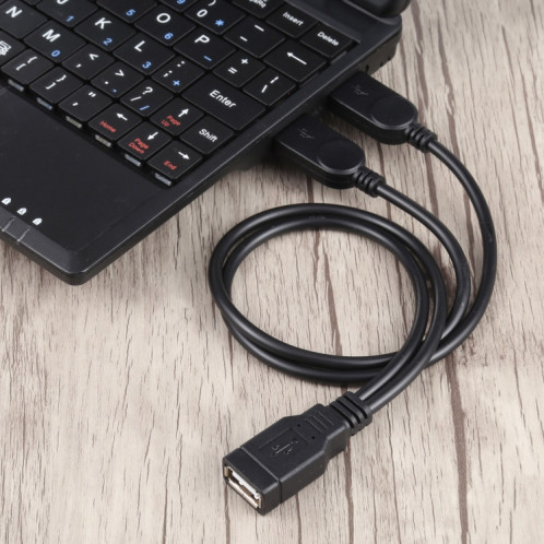 USB femelle à 2 câbles masculins USB, longueur: environ 30 cm SH87291641-04