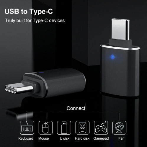 USB TO TYPE-C / USB-C OTG USB Flash Flash (gris) SH019H81-07