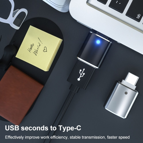 USB TO TYPE-C / USB-C OTG USB Flash Flash (gris) SH019H81-07