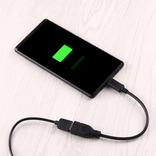 Câble adaptateur USB-C 3.1 / Type-C mâle vers USB 3.0 femelle OTG, longueur: 20 cm SH96031780-04