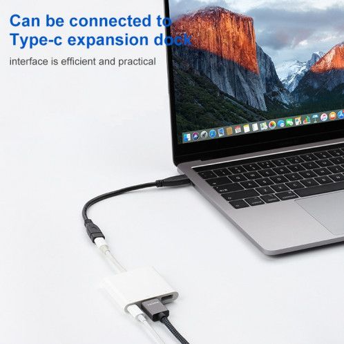 USB 3.1 Type-C / USB-C Mâle à type Câble adaptateur femelle GEN2 de type-C / USB-C, longueur: 50cm SH98251564-07