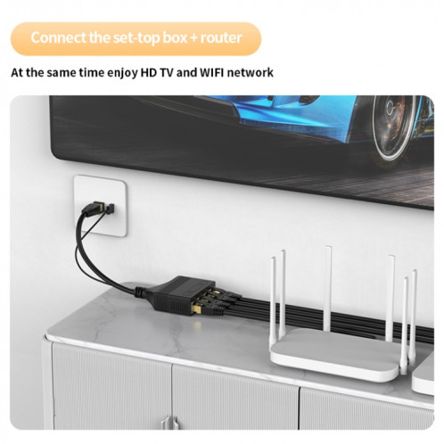 Câble répartiteur de réseau RJ45 femelle 4 en 1, 100M, coupleur de réseau Ethernet SH9835820-010