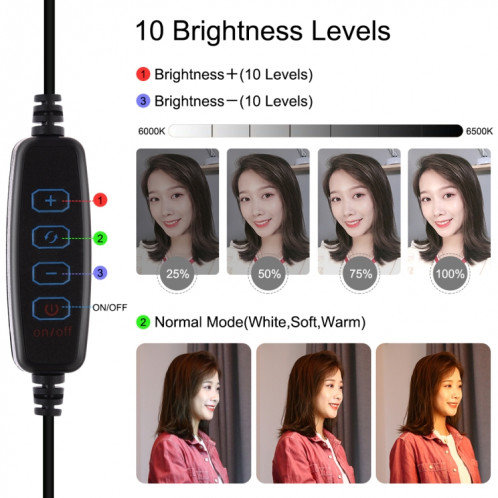 Support de trépied PULUZ + tige d'extension + support en direct pour diffusion téléphonique + 6,2 pouces 16cm anneau LED vlogging vidéo kits de lumière SP3038756-015
