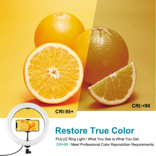 Support de trépied de Puluz 1.65m + Supports à double téléphone + 10,2 pouces 26cm Surface incurvée USB 3 modes Dimmable Température de couleur Double Color Température Bague Selfie Vlogging Vidéo Live Broadcast SP066B802-015