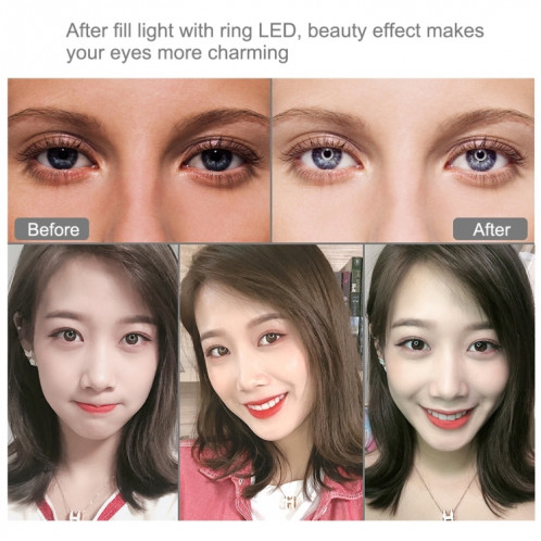 Puluz 11,8 pouces 30cm RGBW Light + 1.1M Trépied Surface courbe Dimmable LED Dual Couleur Température Température LED Bague Selfie Vlogging Vidéo LIGHT LIGHT BRILLER KITS AVEC TÊTE DE TRIPODE DE TRIPODE DE TÊTE DE SP067B699-019