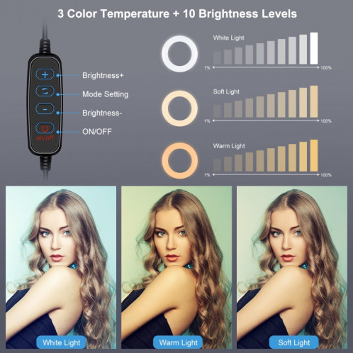 Puluz 7,9 pouces 20cm Light + Base de bureau ronde USB 3 Modes Dimmable Double couleur Température LED Courbe Light Bague Vlogging Selfie Photographie Vidéo lumières avec pince de téléphone (noir) SP078B1634-014