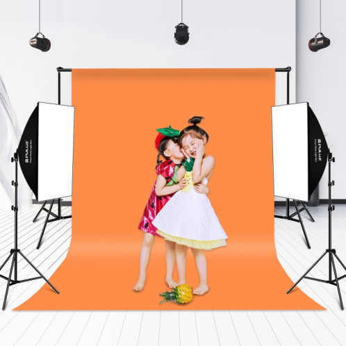 Kit d'éclairage Softbox Puluz 2 PCS 50x70cm Professional Photo Studio photographie Équipement de photographie avec 2 x E27 Socket Socket Photographie Prise de photographie Kit d'éclairage (UE Plug) SP33EU1019-09