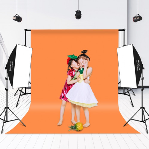 Kit d'éclairage Softbox Softbox Puluz 2 pcs 50x70cm Professional Photo Studio photographie Équipement de la photographie avec 8 x E27 20W E27 Socket Socket Lighting Kit d'éclairage pour la photographie de portrait de SP34US1661-010