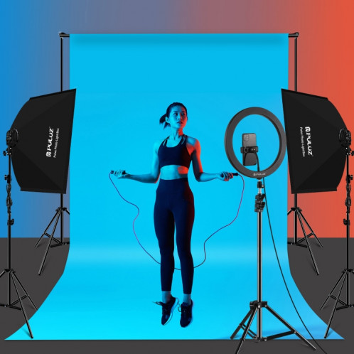 Kit d'éclairage Softbox Softbox Puluz 2 pcs 50x70cm Professional Photo Studio photographie Équipement de la photographie avec 8 x E27 20W E27 Socket Socket Lighting Kit d'éclairage pour la photographie de portrait de SP34US1661-010
