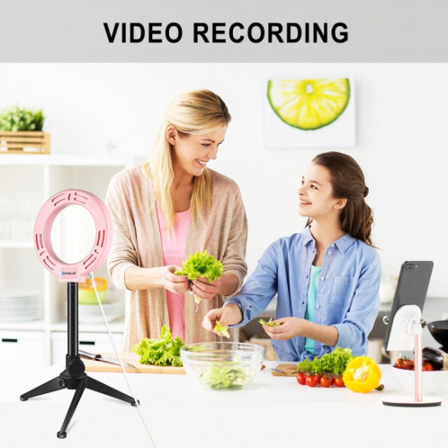 PULUZ 4,7 pouces 12 cm USB lumière blanche anneau LED Vlogging photographie vidéo lumières (rose) SP421F512-011