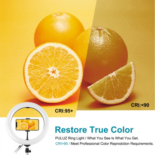 PULUZ 10.2 pouces 26cm USB RGBW Dimmable LED Anneau Vlogging Photographie Vidéo Lumières avec Trépied Rotule & Télécommande & Téléphone Pince (Noir) SP430B1118-017