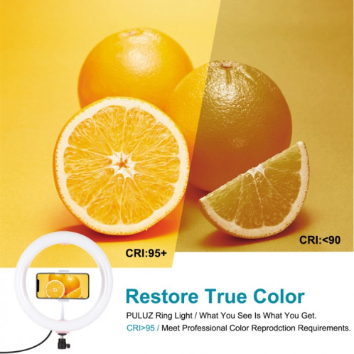PULUZ 10.2 pouces 26cm Surface incurvée USB RGBW Dimmable LED Anneau Vlogging Photographie Vidéo Lumières avec Trépied Rotule & Télécommande & Téléphone Pince (Rose) SP455F728-018