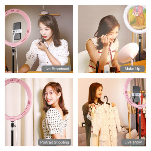 PULUZ 11.8 pouces 30cm USB 3 modes Dimmable Dual Color Temperature LED Anneau de lumière diffuse incurvée Vlogging Selfie Photography Video Lights avec pince de téléphone SP457F489-014