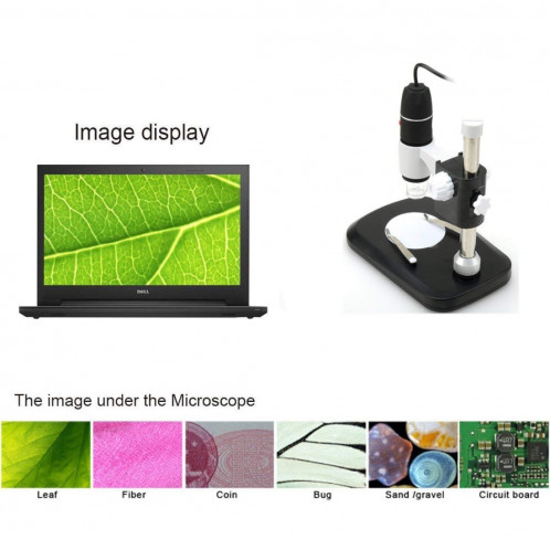 DMS-MDS800 40X-800X Loupe 2.0MP Capteur d'image Microscope numérique USB avec 8 LED et support professionnel SH4071857-09