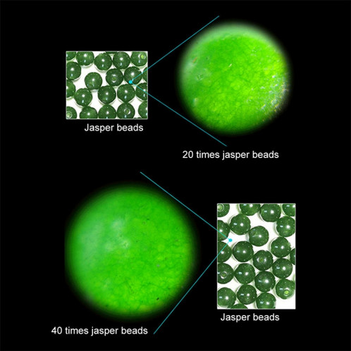 Microscope de poche à objectif avec grossissement de 20X 40X avec lumière LED (Argent) SH41451945-010