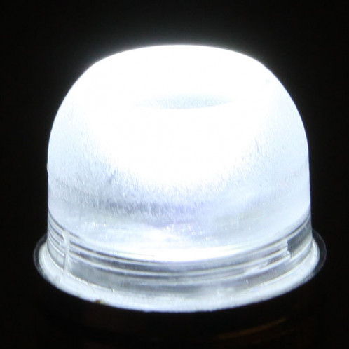 Feu antibrouillard G9 2W LED, 180LM, lumière blanche 6000-6500K, DC 12V SH01011802-06