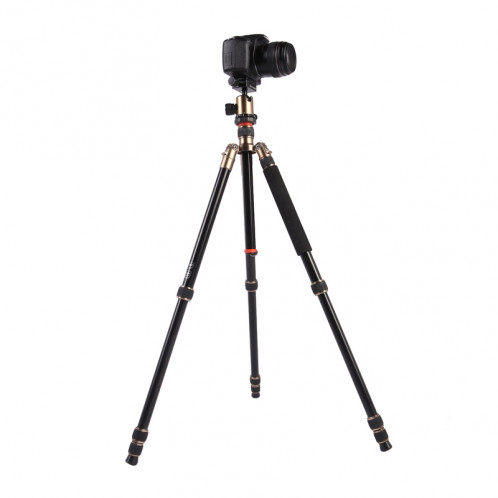 Trépied en aluminium ajustable Portable Triopo MT-2504C (Or) avec rotule NB-1S (Noir) pour appareil photo Canon Nikon Sony DSLR ST410C362-08