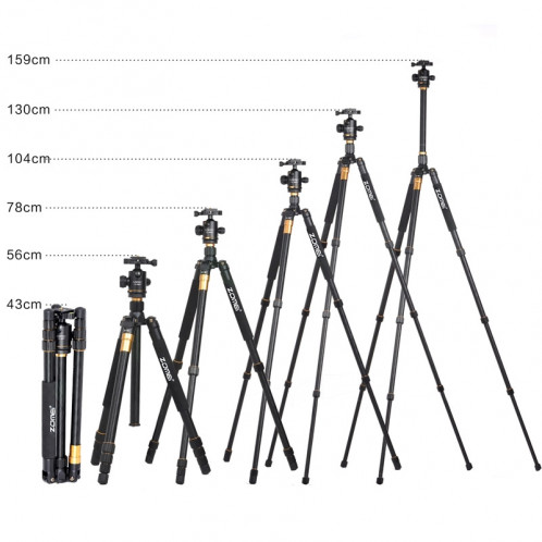 Trépied en alliage de magnésium de voyage professionnel de ZOMEI Z688 Portable professionnel avec la rotule pour appareil photo numérique SZ23031386-011