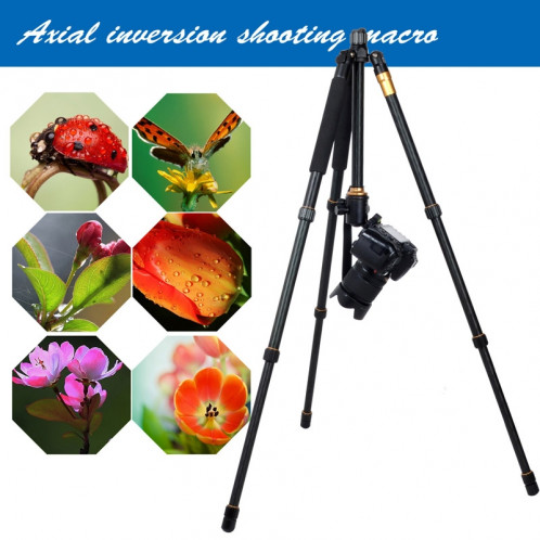 Trépied en alliage de magnésium de voyage professionnel de ZOMEI Z688 Portable professionnel avec la rotule pour appareil photo numérique SZ23031386-011