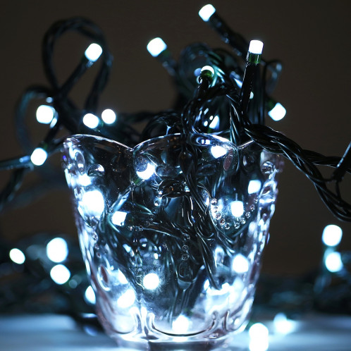 10m imperméable à l'eau 100 LED lumières décoratives de chaîne avec le joint d'extrémité et le contrôleur, clignotant / effet de fading / Chasing, prise de l'UE, CA 220V (lumière blanche) S14AWL1767-09