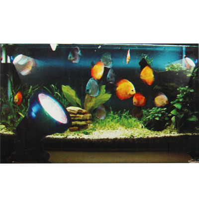 Spots imperméables à l'eau de 2.3W, réservoir de poissons amphibie de 36 LED / lumière colorée d'aquarium, profondeur imperméable: 1-1.5m (noir) SH16841373-07