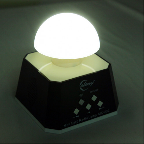 CT-0019 Multi LED Lumières haut-parleur avec radio FM, carte de soutien TF (noir) SH07851412-07