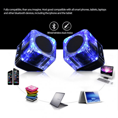 Haut-parleur Bluetooth multifonction sans fil SARDiNE B5 Crystal Case, avec micro et LED, prise en charge des appels mains libres et Bluetooth TWS (blanc) SS560W532-013
