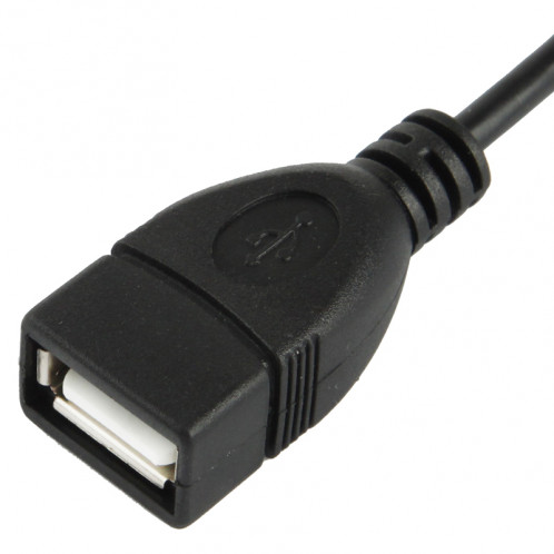 Câble adaptateur USB 2.0 AM à 90 degrés, longueur: 25 cm SC06801686-04