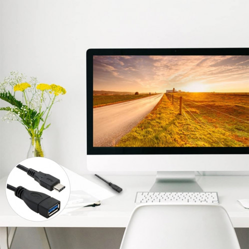 Câble de données OTG USB 3.1 Type C mâle vers USB 3.0 Type A femelle de 1 m, Pour Nokia N1 / Macbook 12 (noir) SH149B1823-06