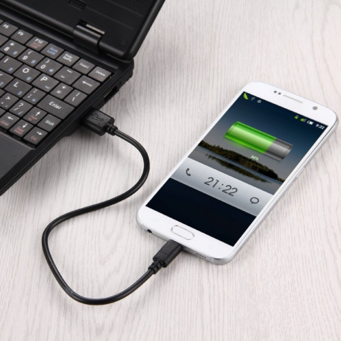 2 cœurs 20 fils de cuivre micro USB au câble de charge USB 2.0, longueur de câble: environ 30 cm SH0358538-04